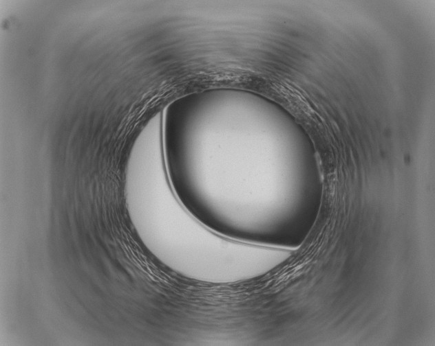 X0000087370916200704200814