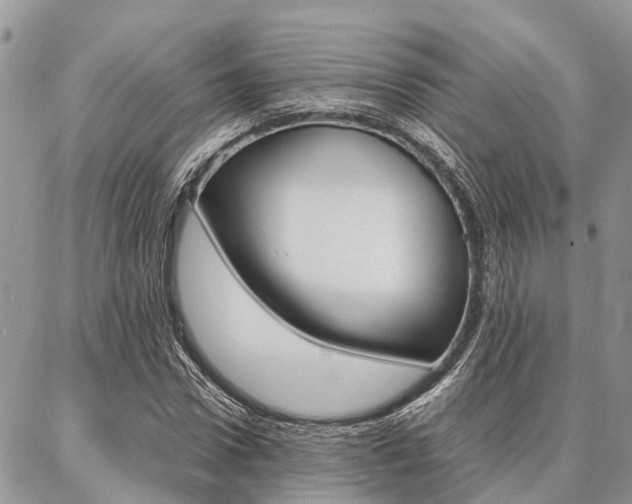 X0000087370922200704200814