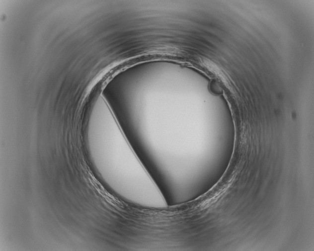 X0000087370923200704200814