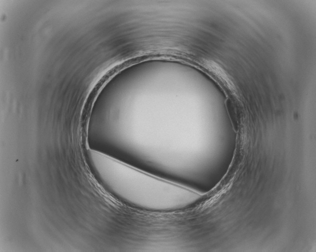 X0000087370924200704200814