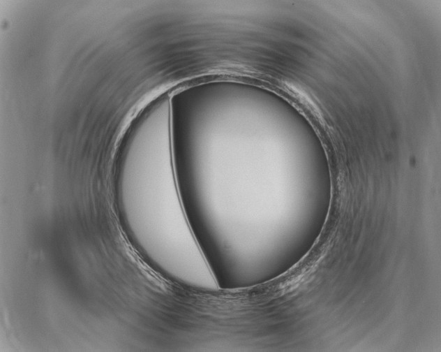 X0000087370931200704200814