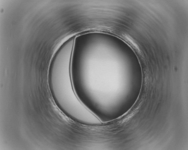 X0000087370940200704200814