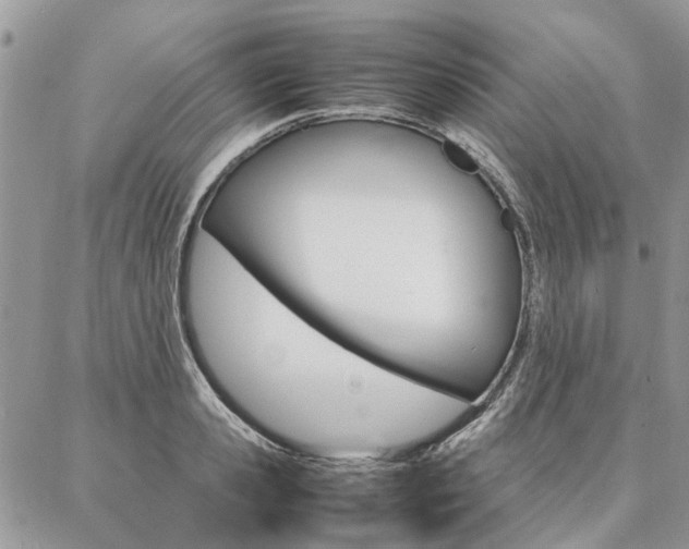 X0000087370941200704200814