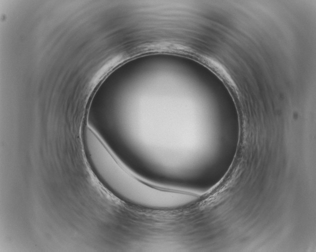 X0000087370946200704200814