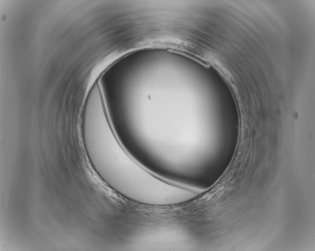 X0000087370960200704200814