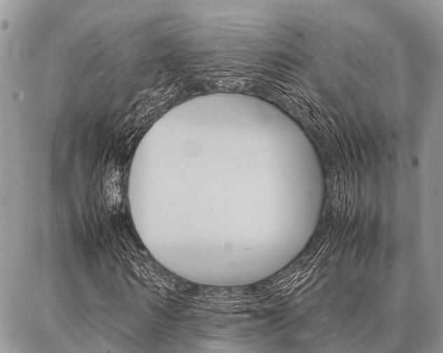X0000087370962200704200814