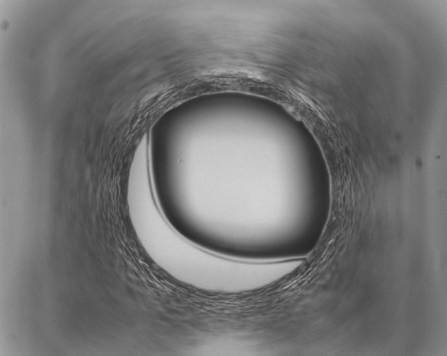 X0000087370965200704200813