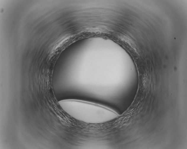 X0000087370968200704200813