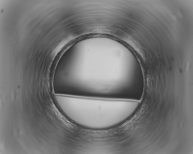 X0000087370972200704200813