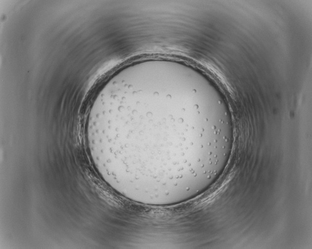 X0000087370974200704200813