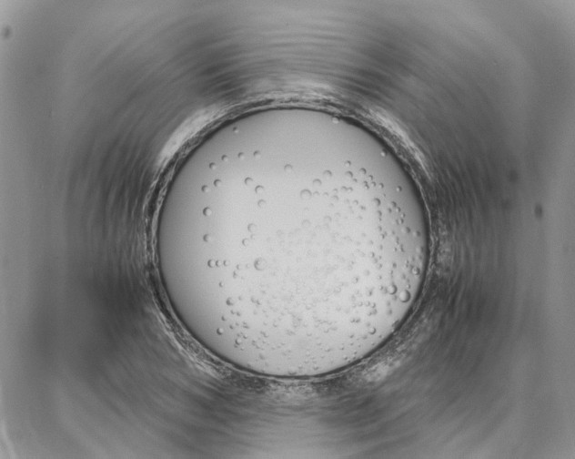 X0000087370978200704200813