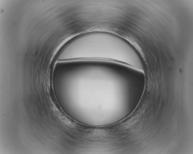 X0000087370984200704200813