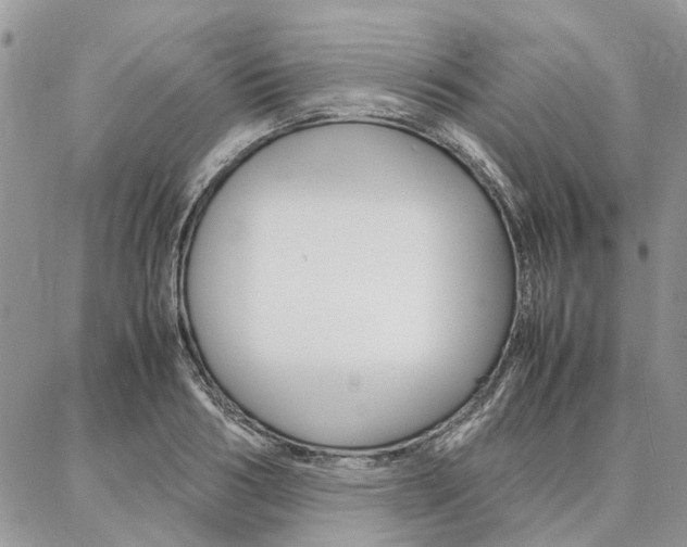 X0000087370986200704200813