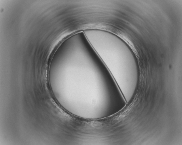 X0000087370992200704200813