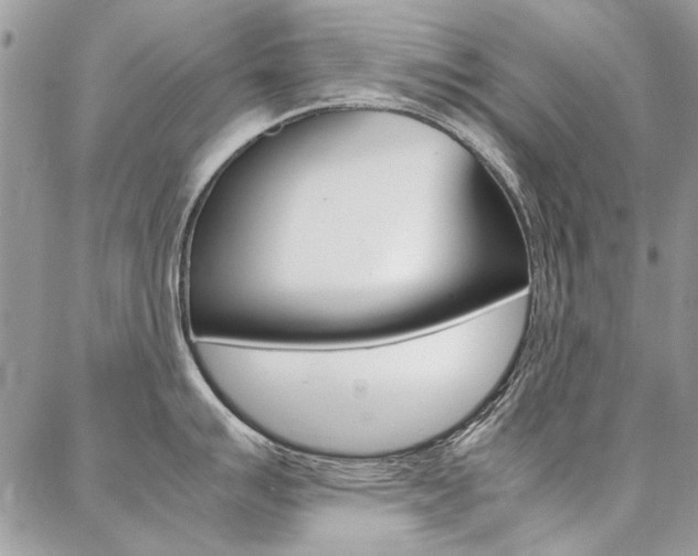 X0000087371007200704200813