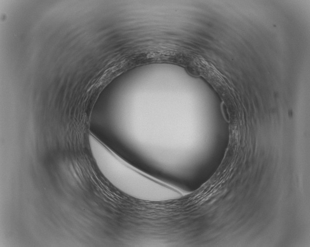 X0000087371012200704200812
