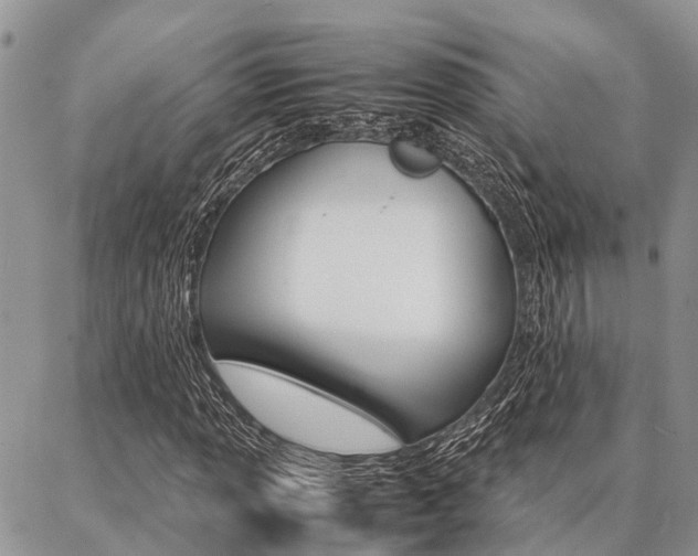 X0000087371013200704200812