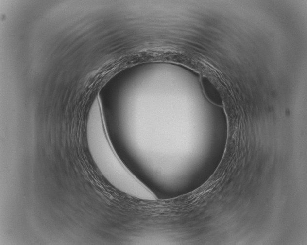 X0000087371014200704200812
