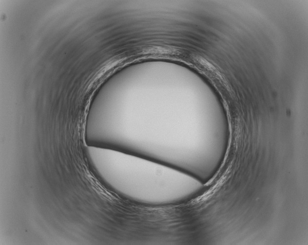 X0000087371017200704200812