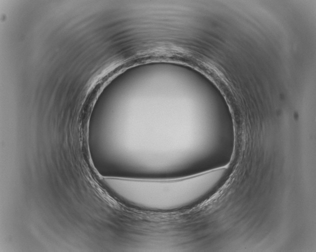 X0000087371018200704200812