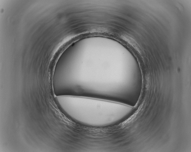 X0000087371021200704200812