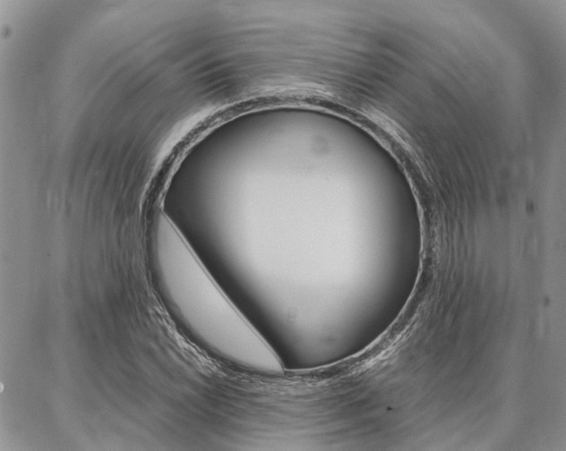 X0000087371022200704200812