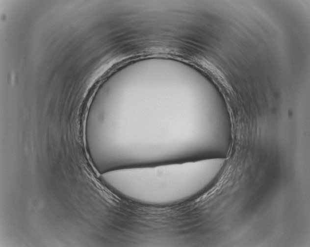 X0000087371023200704200812