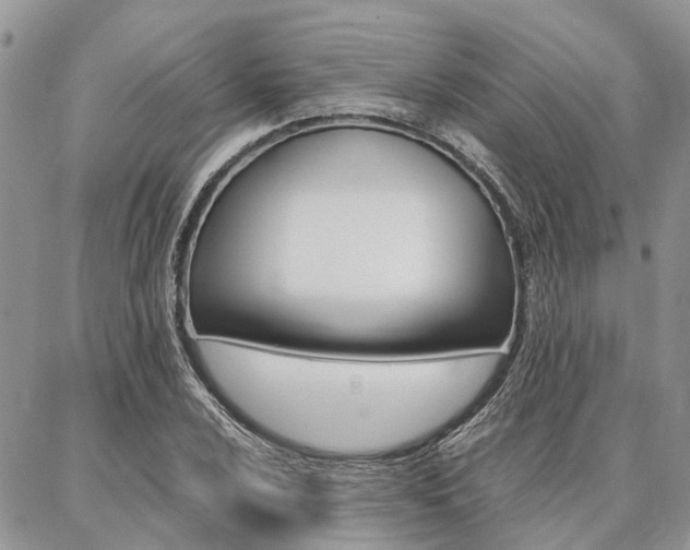 X0000087371024200704200812