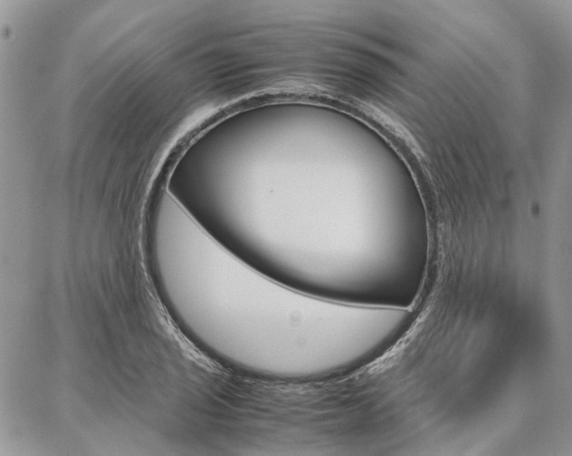 X0000087371029200704200812