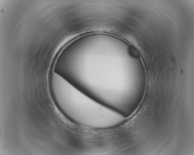 X0000087371032200704200812