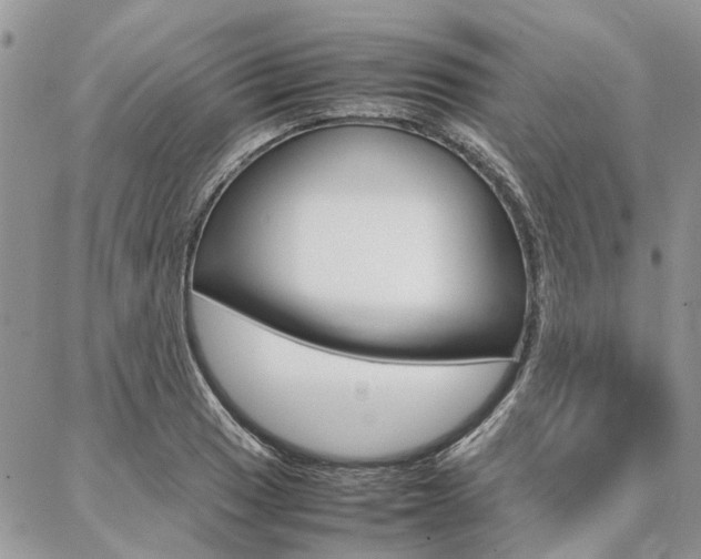 X0000087371033200704200812