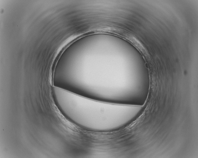 X0000087371036200704200812