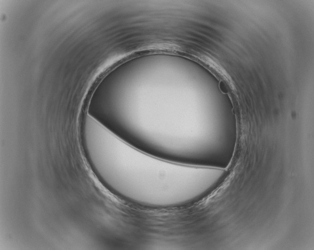 X0000087371037200704200812