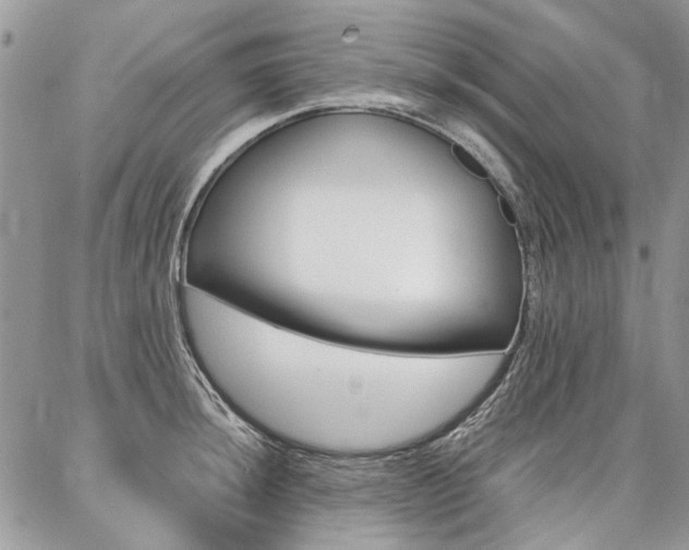 X0000087371044200704200813