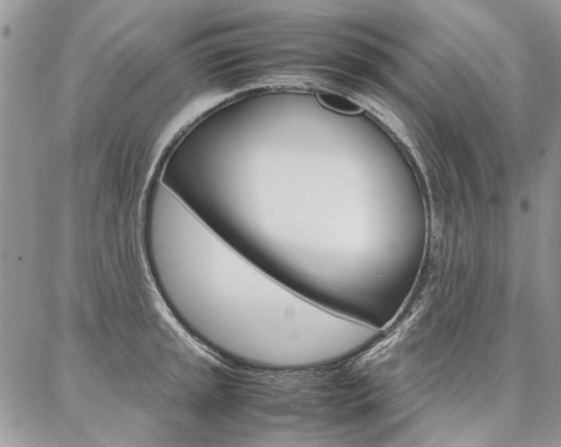 X0000087371045200704200813