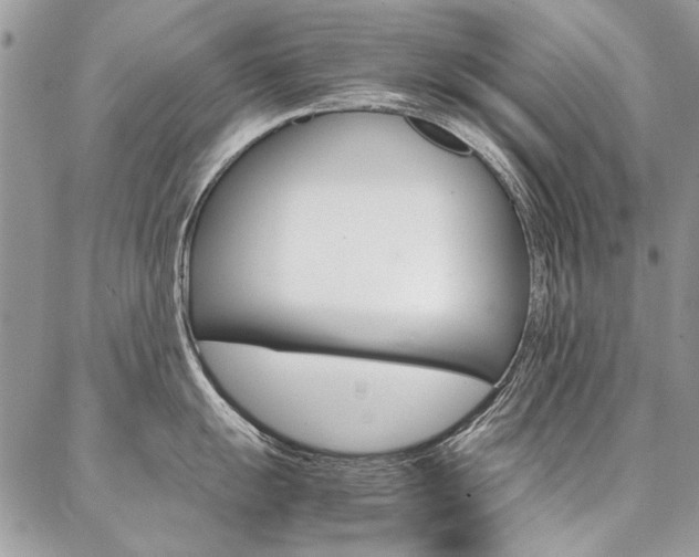 X0000087371055200704200813