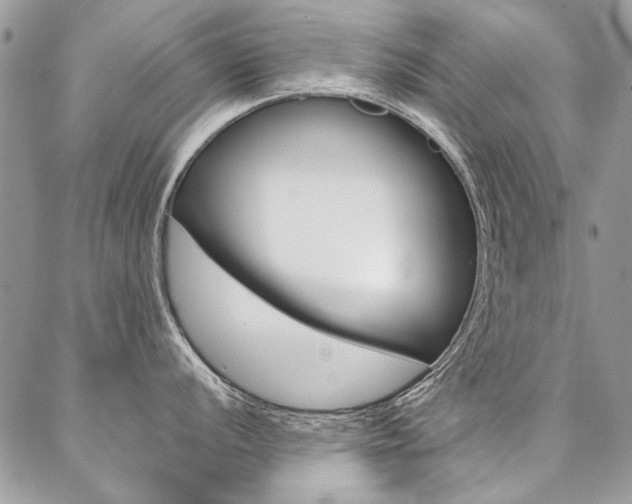 X0000087371056200704200813