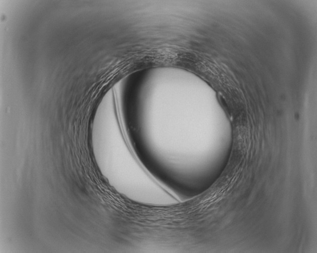 X0000087371057200704200812