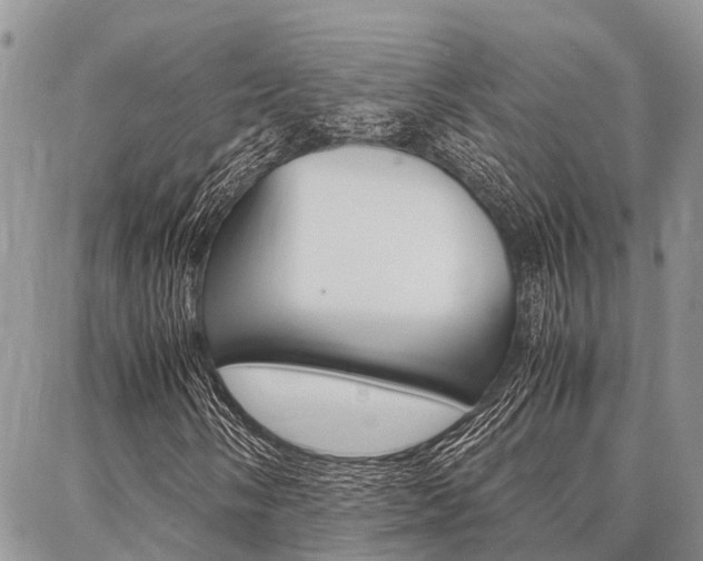 X0000087371058200704200812