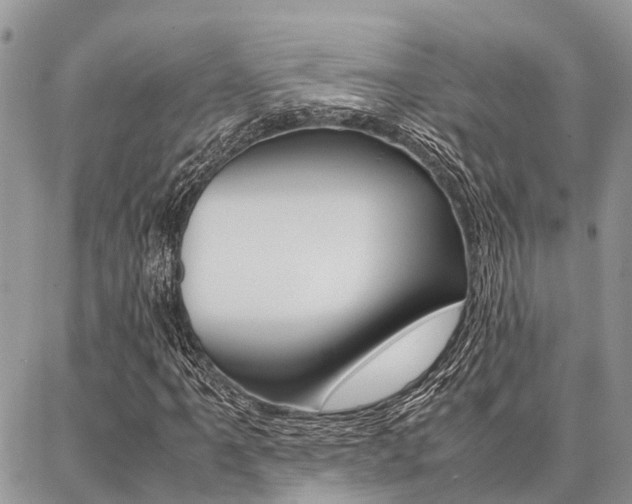 X0000087371061200704200812