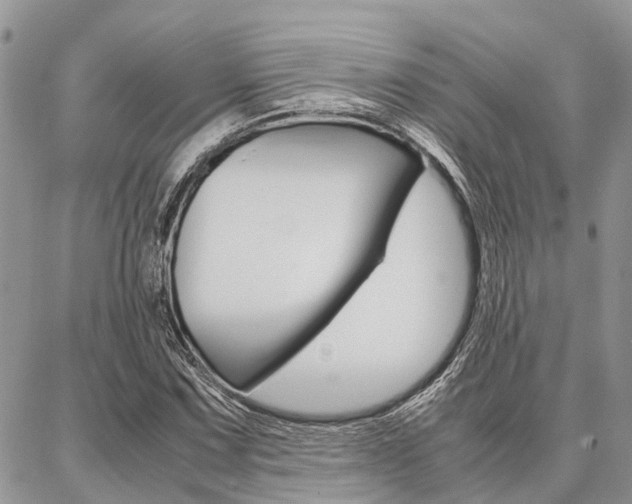 X0000087371067200704200812
