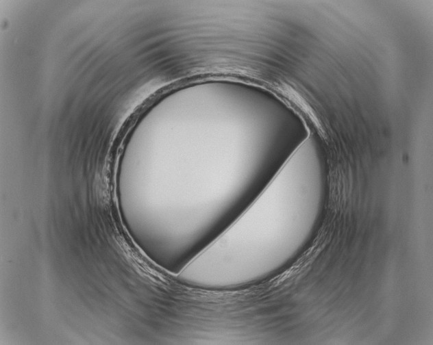 X0000087371068200704200812
