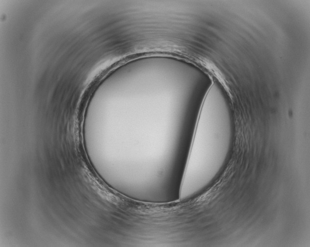 X0000087371072200704200812