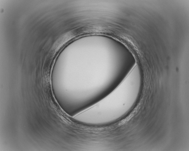 X0000087371073200704200812