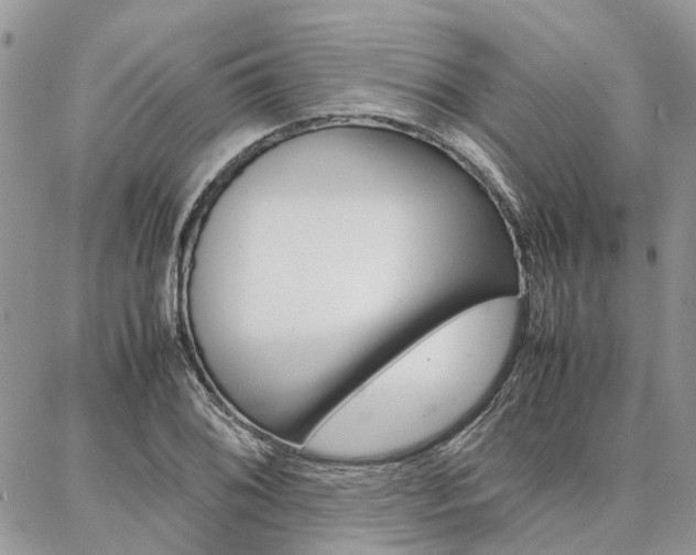 X0000087371076200704200812