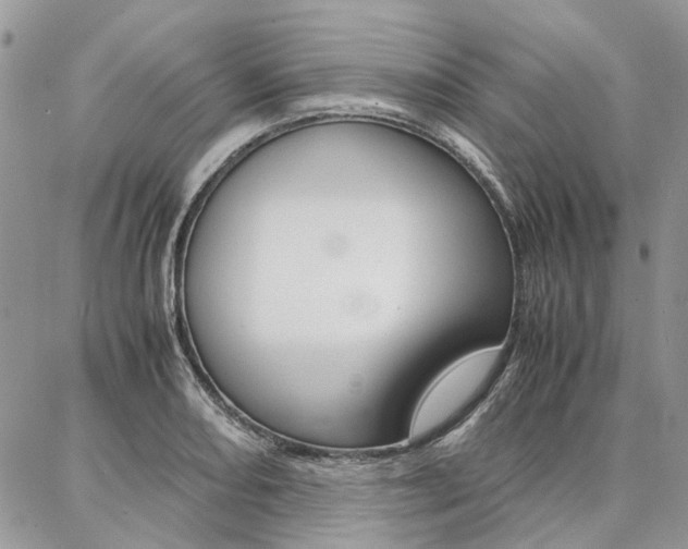 X0000087371082200704200812