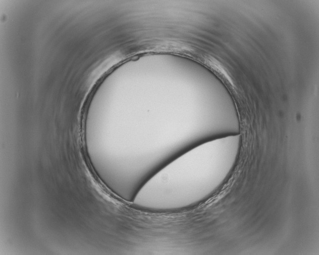 X0000087371087200704200811