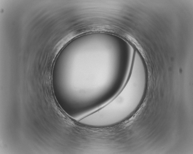 X0000087371089200704200811