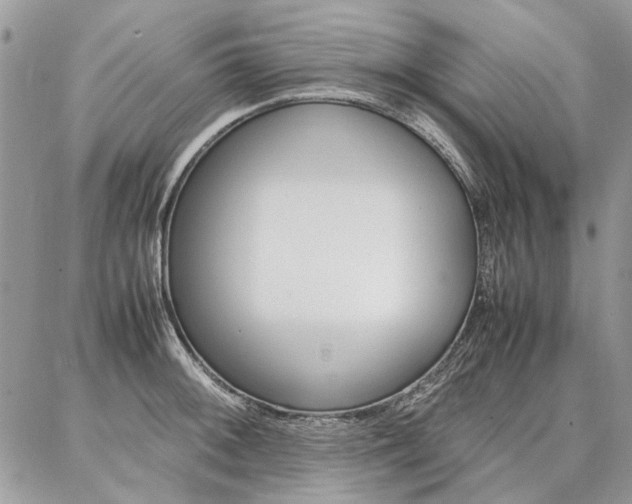 X0000087371092200704200811