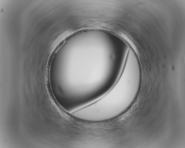 X0000087371093200704200811